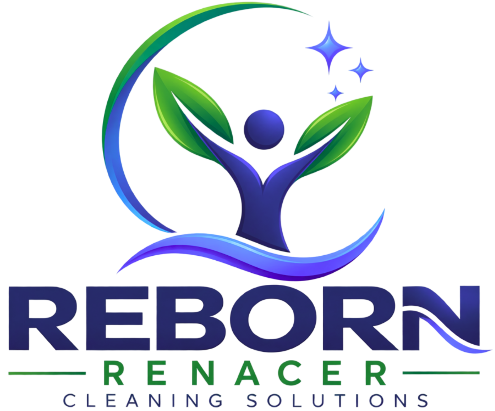 reborncleaning.com
